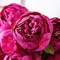 Spring Tabletop Decor – 1PCS Spring Hot Pink Artificial Silk Peony Bouquet, 13 Stems for Wedding, Home, Table Centerpieces & Party Decor